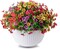 12 Bundles Artificial Flowers for Outdoors, UV Resistant Fake Outdoor Flowers No Fade Faux Outdoor Flowers Plants for Garden Porch Window Box Farmhouse Pot Planters Decor (Multi ColorA)